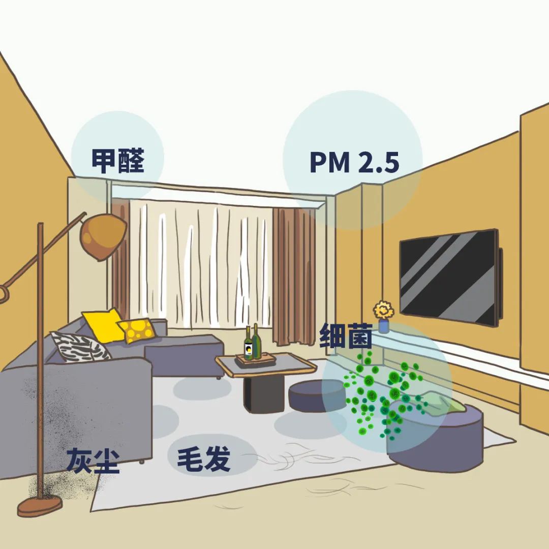 天天闭门在家,如何应对室内空气污染?__凤凰网