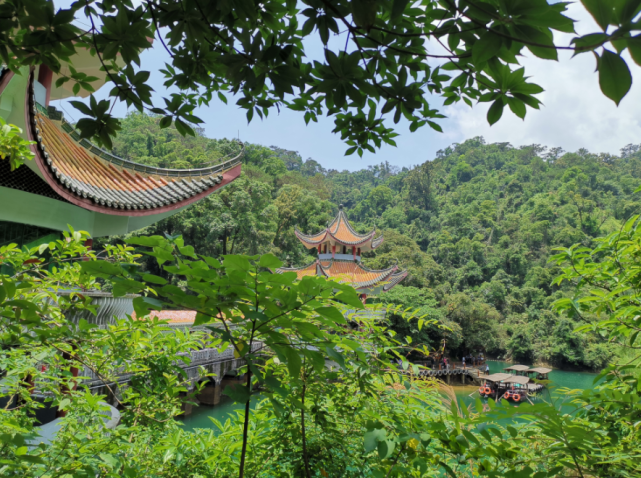北回归线上的绿宝石 大鼎湖 森呼吸 风水宝地肇庆鼎湖山纪行