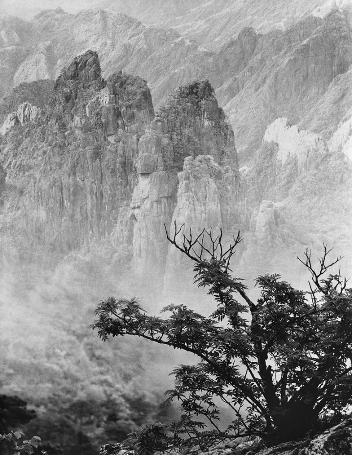 名家经典 | 中国已故15位摄影大师作品赏析