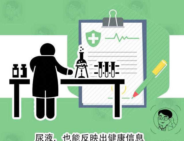 尿检时 白细胞偏高 医生提醒 多与3种疾病有关 越早治疗越好 凤凰网