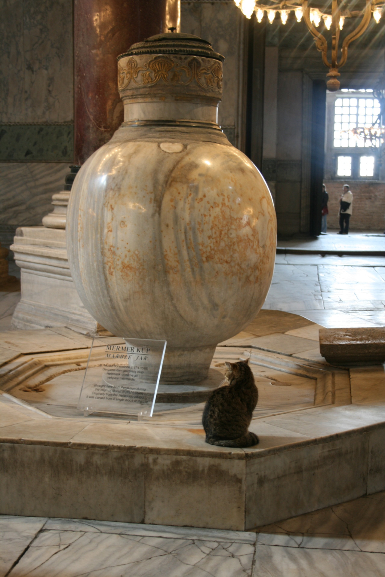 圣索菲亚博物馆内的“明星猫”Gli站在帕加马大理石净洁瓮基座上。大理石净洁瓮高两米，由整块大理石雕刻而来，为古希腊时期宝物。