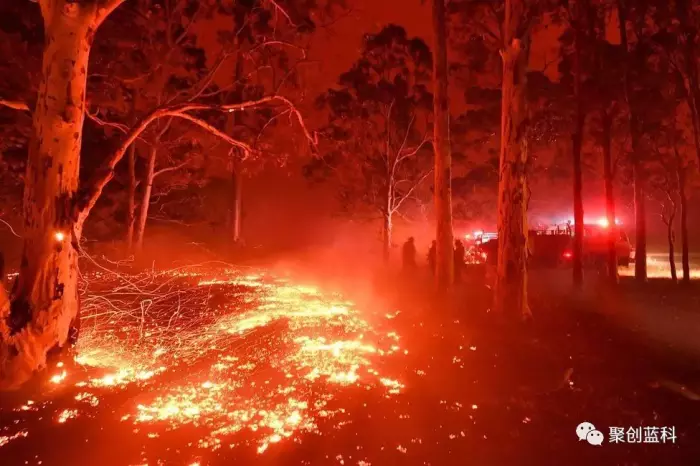 澳洲火山已持续燃烧超100天,5亿动物葬身火海__凤凰网