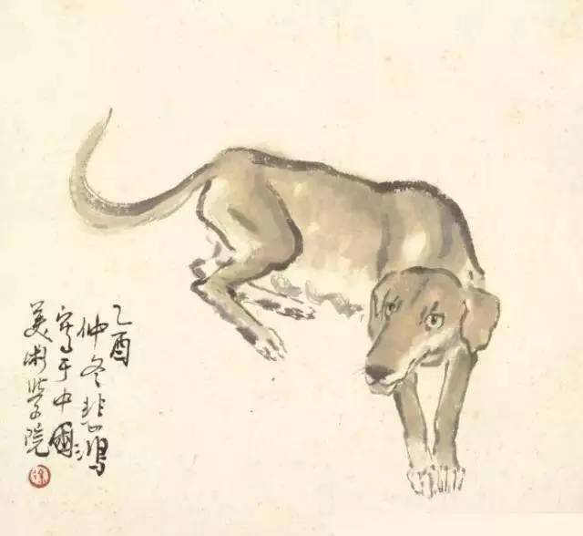 你是什么生肖就是什么命！难以置信