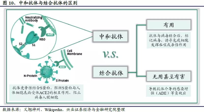 中和抗體是當病原微生物侵入人體時b淋巴細胞產生的一類抗體.