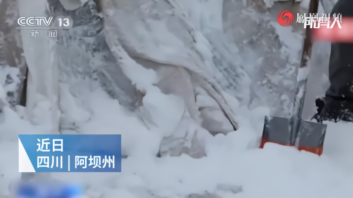 中科院给达古冰川盖“被子”，两个月减少1米消融量