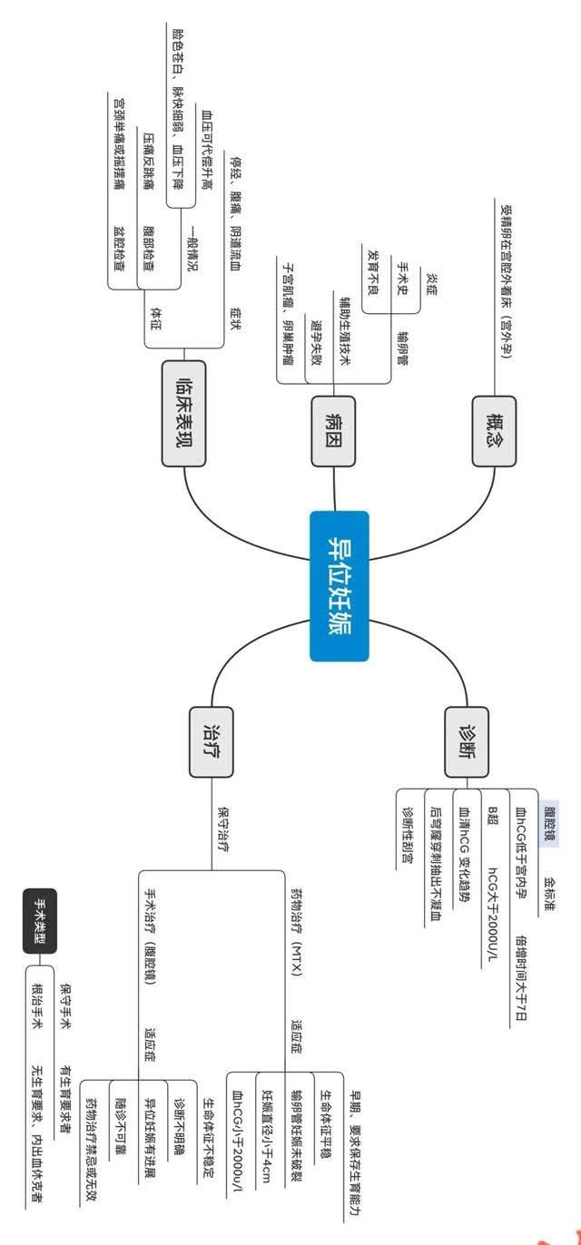 妇产科学总结思维导图图片