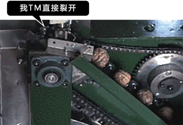 实际情况是这样的 带壳的核桃 或者这样一个个被敲碎