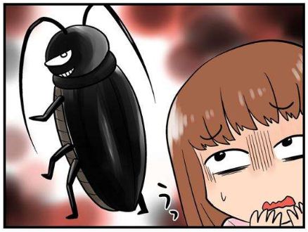 家里养猫怎么灭蟑螂?