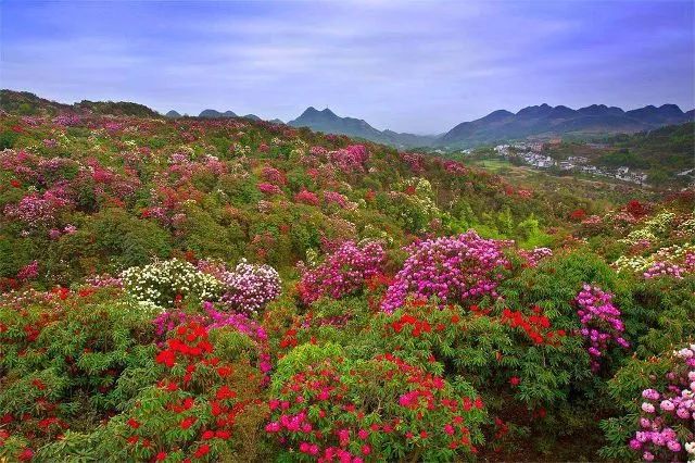 毕节海中图片