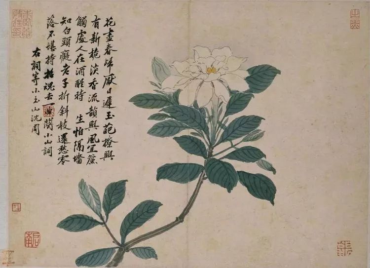 沈周册页小品高清合集 第32张