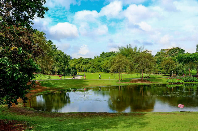 生态园林设计中的植物配置经验总结建科园林景观