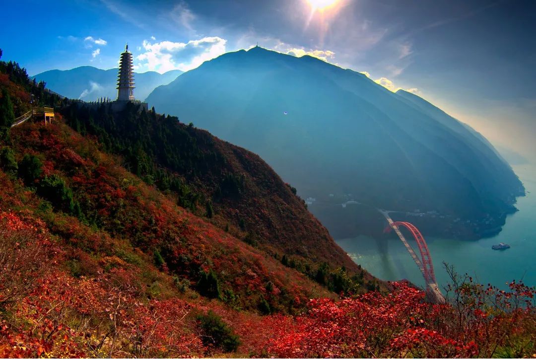 疫去花開,重慶巫山打好7張牌,構建