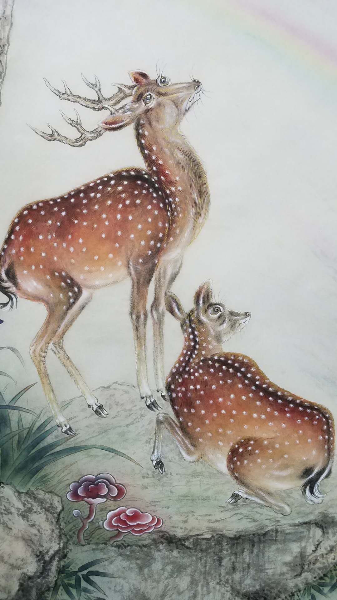 董丽霞老师工笔作品《鹤鹿同春》赏析__凤凰网