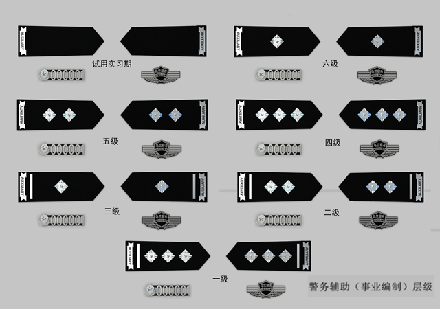 这家公安局正式宣布辅警改革最新款辅警肩章警号胸徽很漂亮