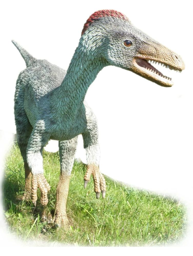 伤齿龙的巢穴里,蛋都是垂直插在沙土之中的