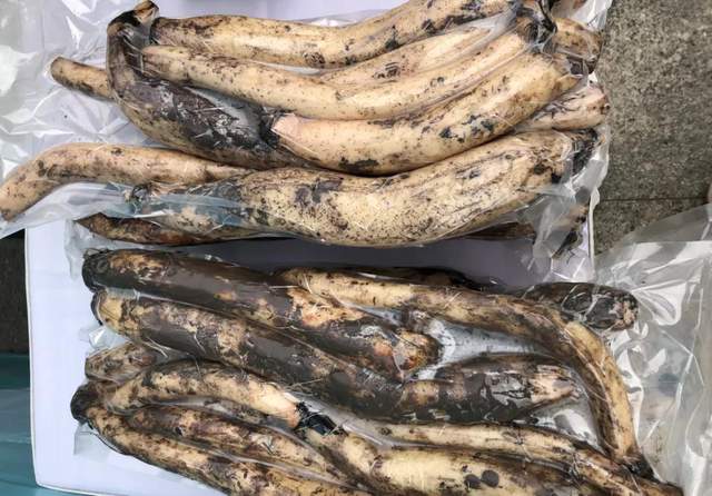 根据地的龙骨煨野藕吊锅更像家的味道,虽然价格贵一点点,但是肉和骨头