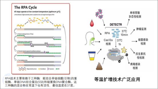 目前常用的方法有pcr,等温扩增技术.