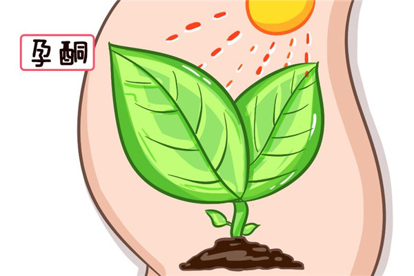 成都坤和助孕靠谱吗（新鲜出炉）