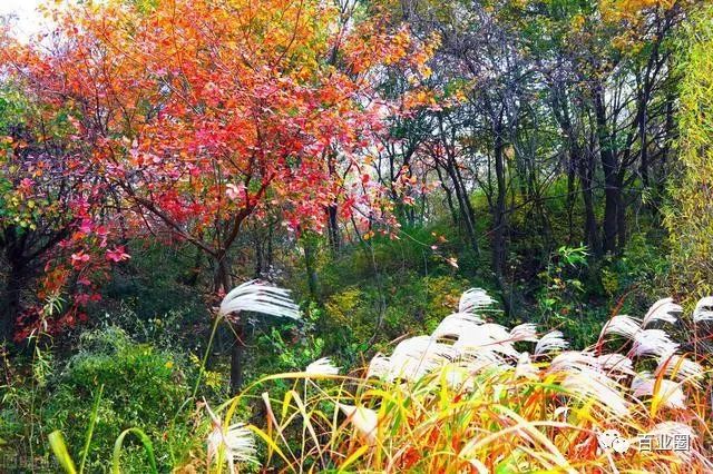 南阳旅游必去八个景点，八个之外还有一个免费景点值得一去