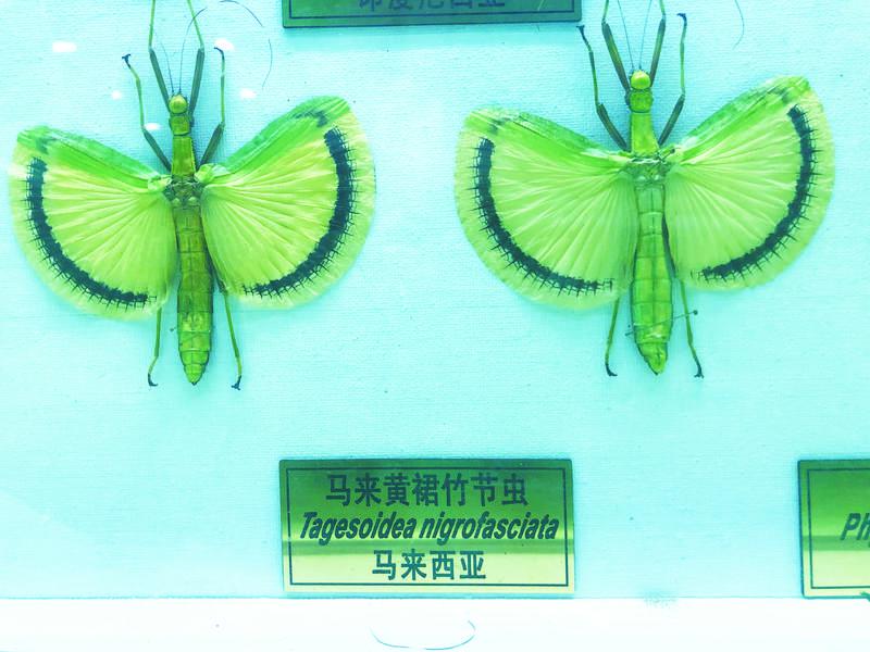 binary_middle (1).jpg