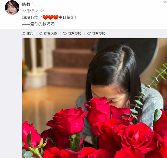 陈数罕曝12岁养女正面照 为继子终生不育 凤凰网娱乐 凤凰网