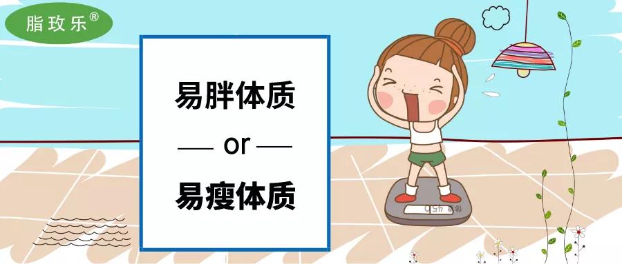 易胖體質怎麼辦脂玫樂教你4個方法幫你邁向易瘦體質