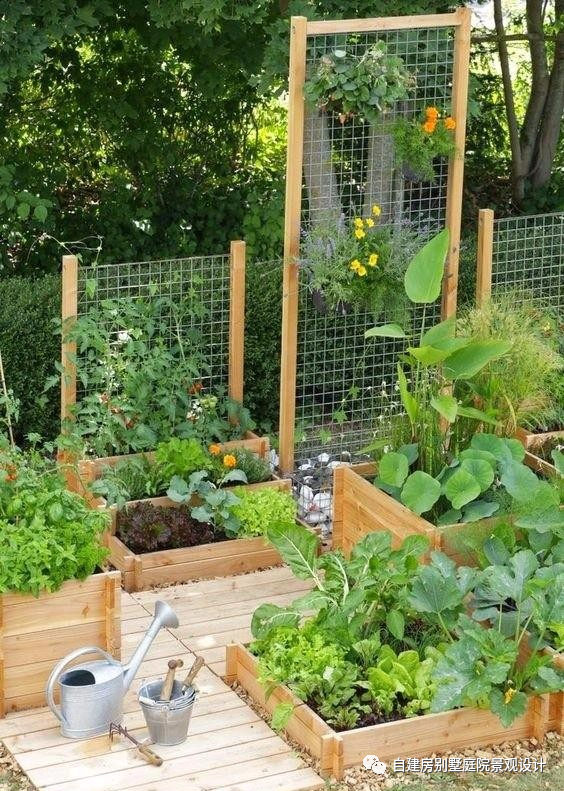 下班后,我开辟了一块菜地作为自己的快乐菜园.