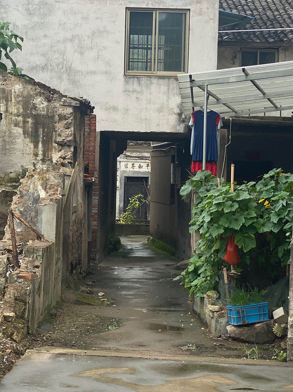 许某某弟弟住宅边的小弄堂看去，墙上写着“世界和平“