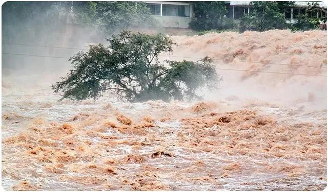 从6月2日至7月4日,中央气象台已经连续31天发布暴雨预警