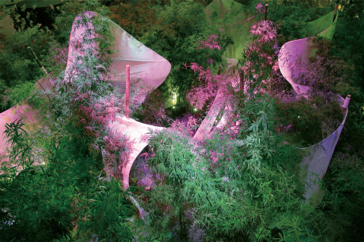 王向荣:立足土地,续想传承丨cbc大师邀请赛专访