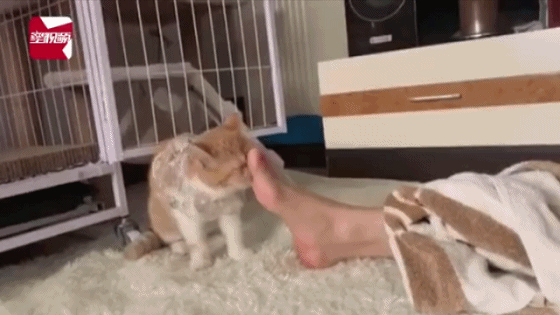 潇湘晨报年轻姑娘脸上居然长了脚气!平时爱做这事,很多人都要当心了