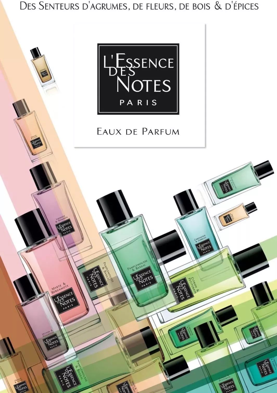 难民女孩的逆袭pierrefabre爱女huongmangin的奇幻人生