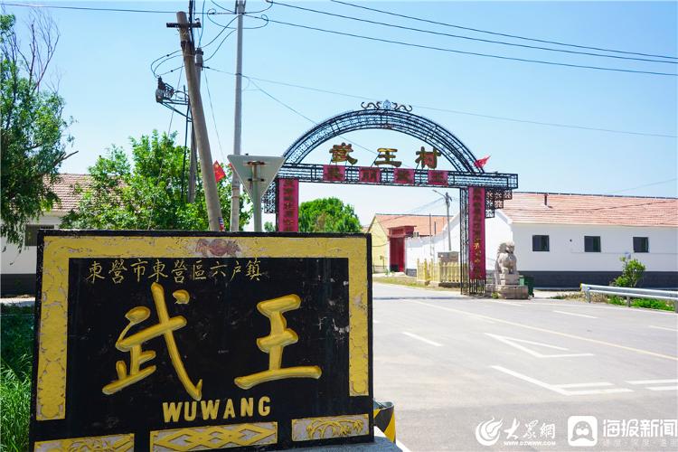 东营影像·脱贫故事|武王村:一颗西红柿"跑"出的致富路__凤凰网