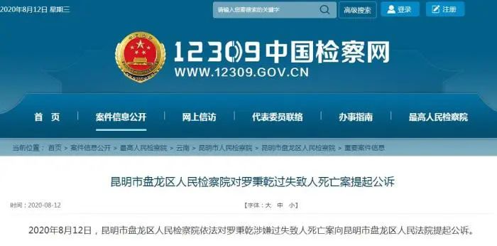 人民日报评“李心草溺亡案嫌疑人被公诉”：用法治给其家人一个交代