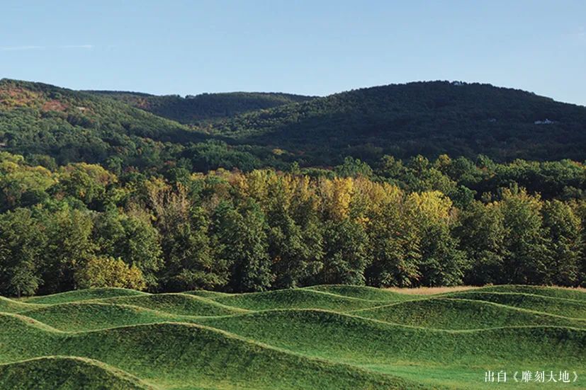 《风暴国王波场》