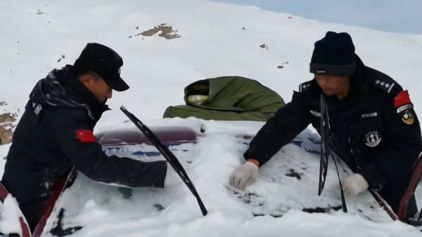 可可西里巡山队在无人区用生命守护大自然