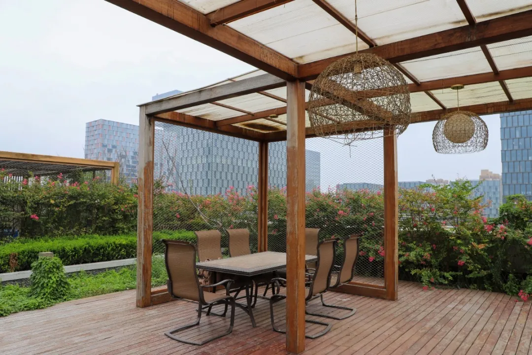 楼顶的空地被分成不同的区域 栽种着各种各样的花卉和绿植 修剪整齐的