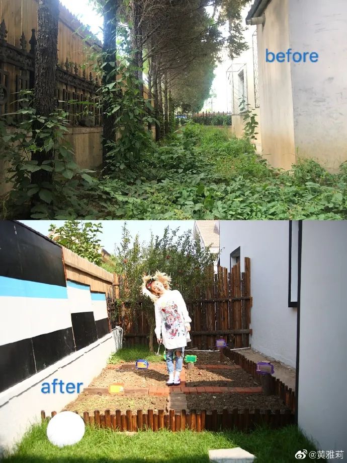 租房过日子的黄雅莉,50天改造郊区梦幻之家,连王鸥都直呼羡慕__凤凰网