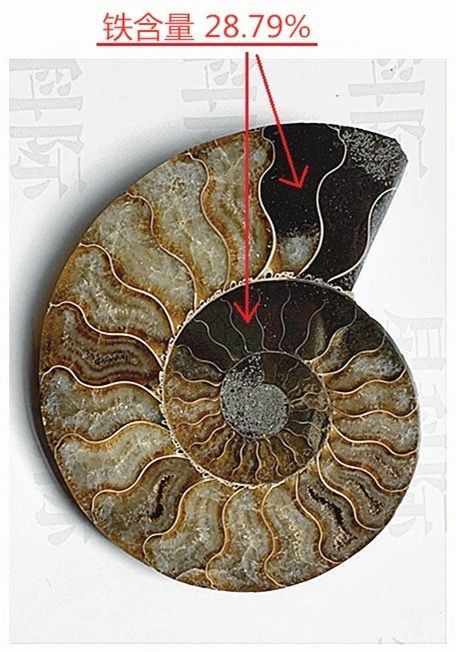 陨石收藏家王三虎再次验证英国基因科学家霍尔丹提出的硅基生命