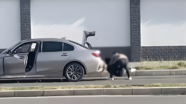 警方回应宝马男殴打女子欲塞后备箱：情侣吵架，女方称不报警