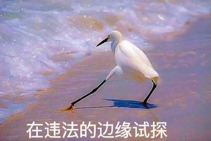 疯狂试探…于是我选择在违法的边缘再也没能忘掉你容颜在人群中多看了