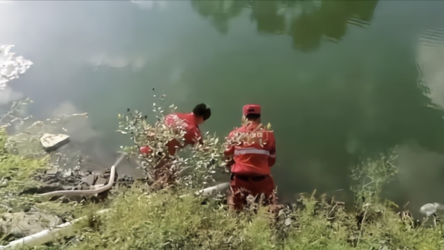 鹤岗46岁女子失联8天，救援队抽干池塘搜寻
