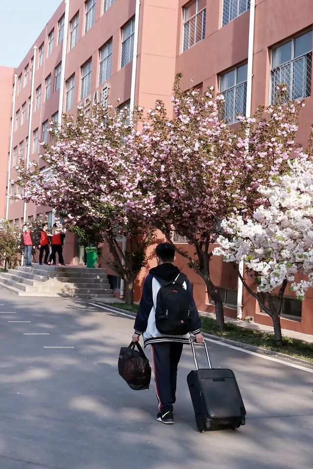 愈发加快 摄影:张晓 文昌中学 春暖花开,学子归来 摄影:付明皓