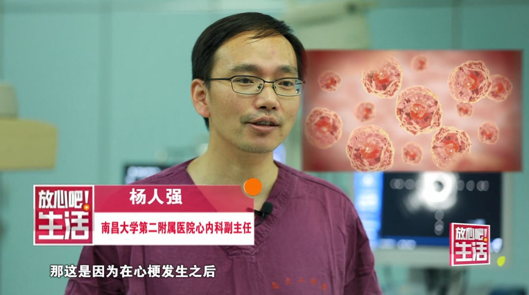 关注 生活 健康 试验揭秘真伪 保障 生活 安全 权威人士解读 江西卫视