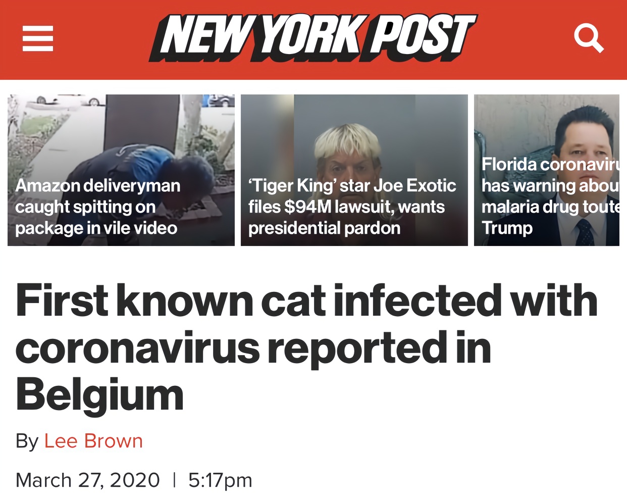 比利时现首例宠物猫新冠病毒检测呈阳性