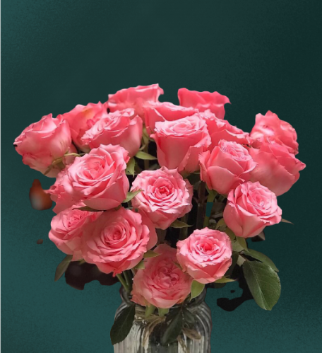 粉玫瑰 | 戴安娜,梦幻感十足,让人无法抗拒的颜色__凤凰网