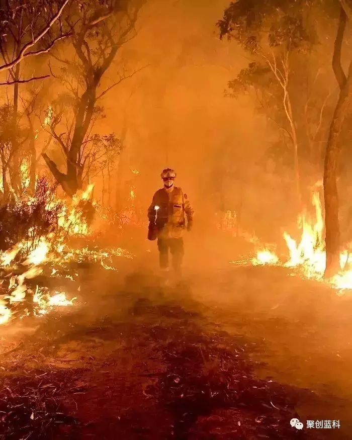 澳洲火山已持续燃烧超100天,5亿动物葬身火海