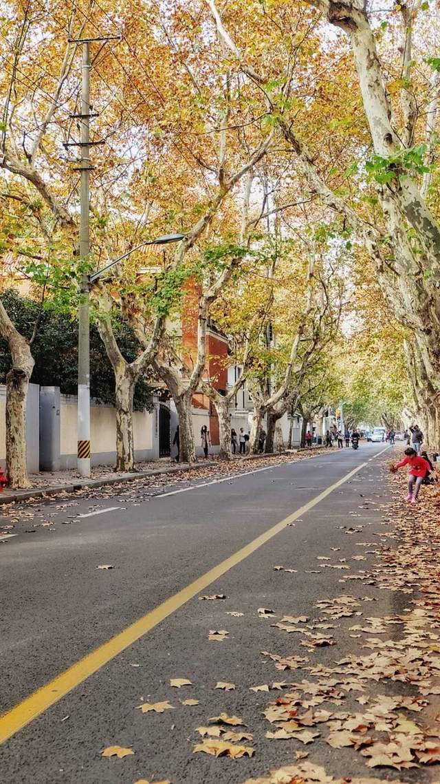 路——桃江路——寶慶路——復興中路——武康路——湖南路——餘慶