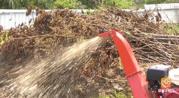 武进嘉泽: 废弃树枝再利用 变废为宝增效益__凤凰网
