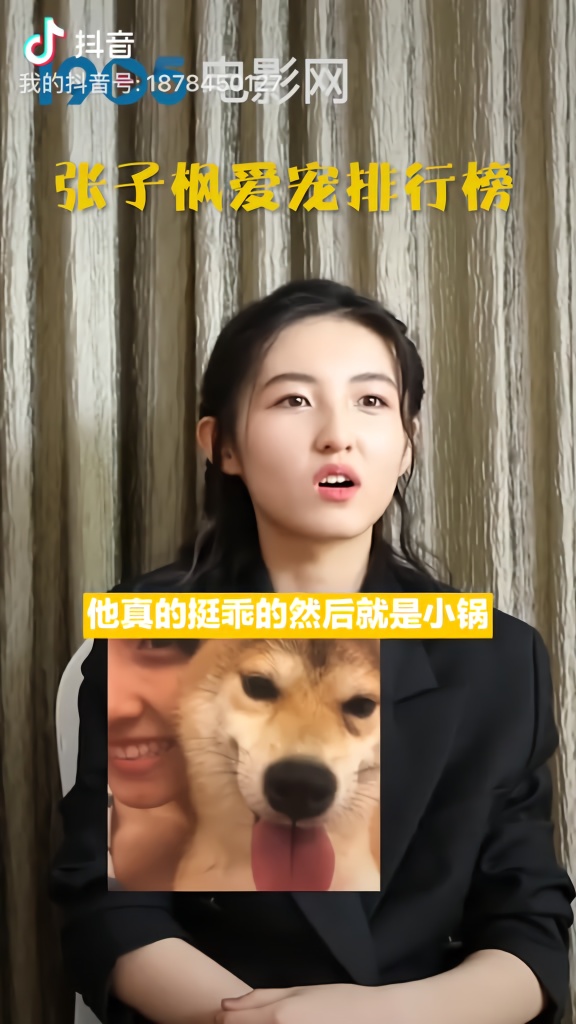 #张子枫 子枫美美的爱宠排行大公开啦！排行第一的那位真的好好好好可爱！#电影宠爱